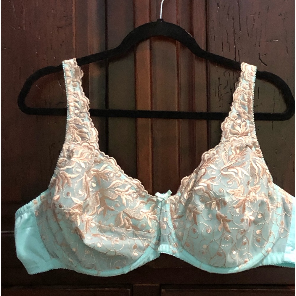 Amoureuse Sz 48B Underwire Bra Seafoam Green with Gold Embroidered Design